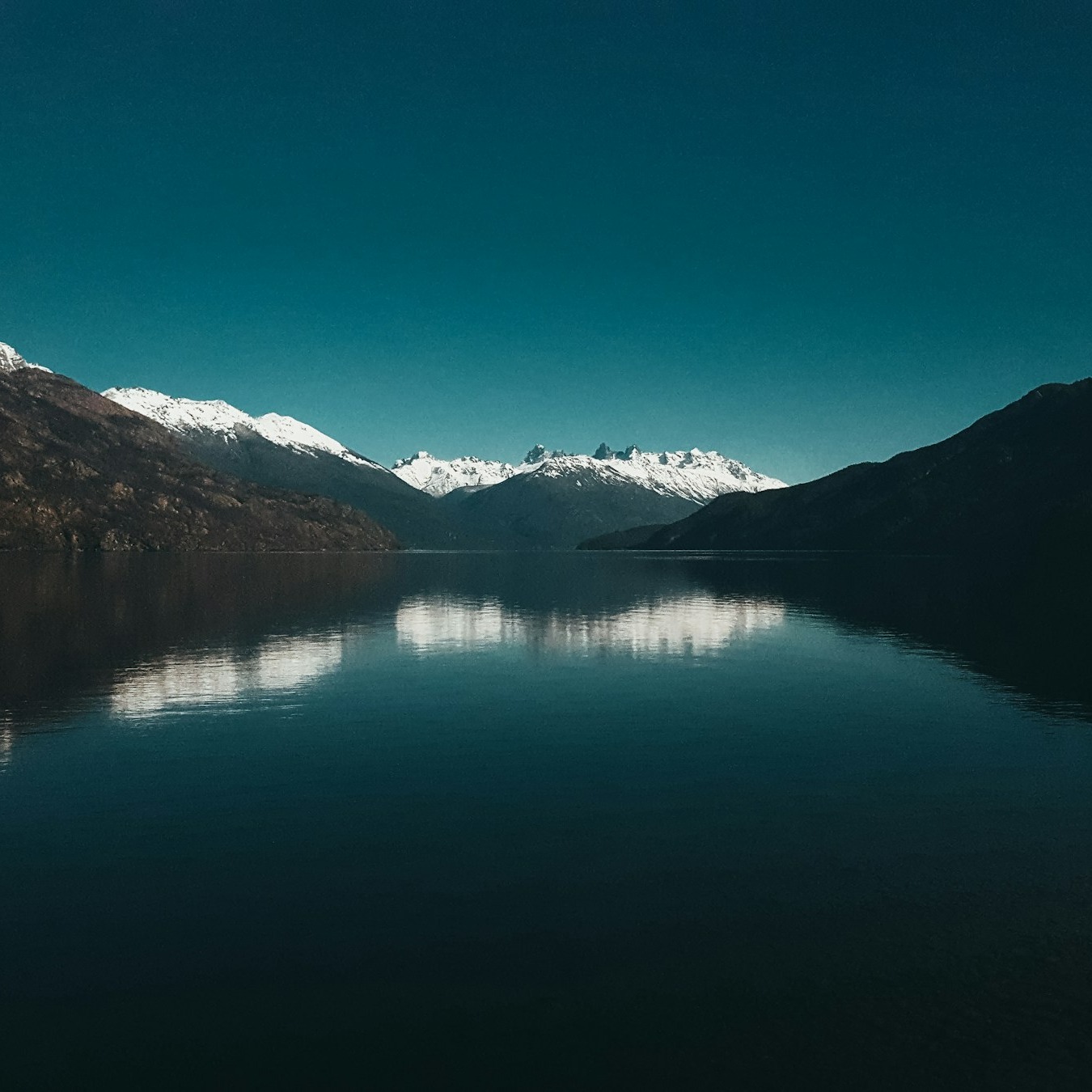 Are Laser Pointers Bad for Cats? Risks and Best Practices